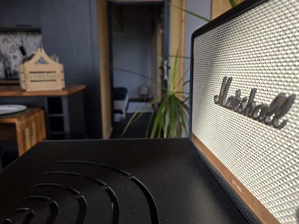 Marshall speaker detail